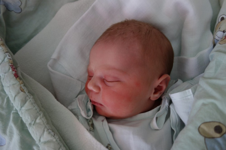 Tereza Dvořáková (Dříteň)