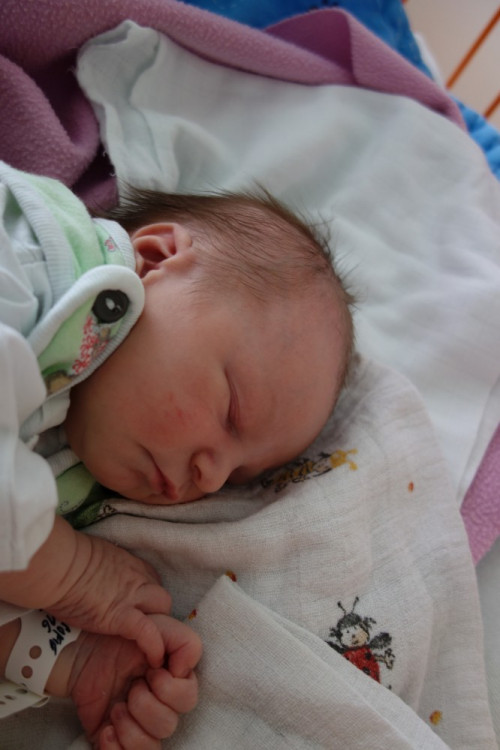 Sofie Jaborníková (ČB)