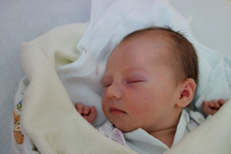 Natálie Kocourková (Hluboká n. Vlt.)