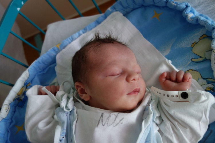 Vít Kumnácký (Lišov)