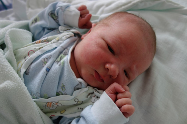 Jakub Michálek (ČB)