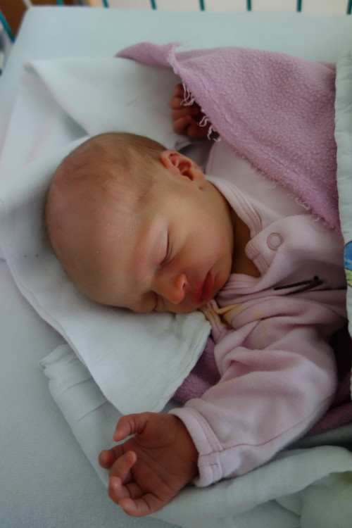 Anežka Pfauserová (Třeboň)