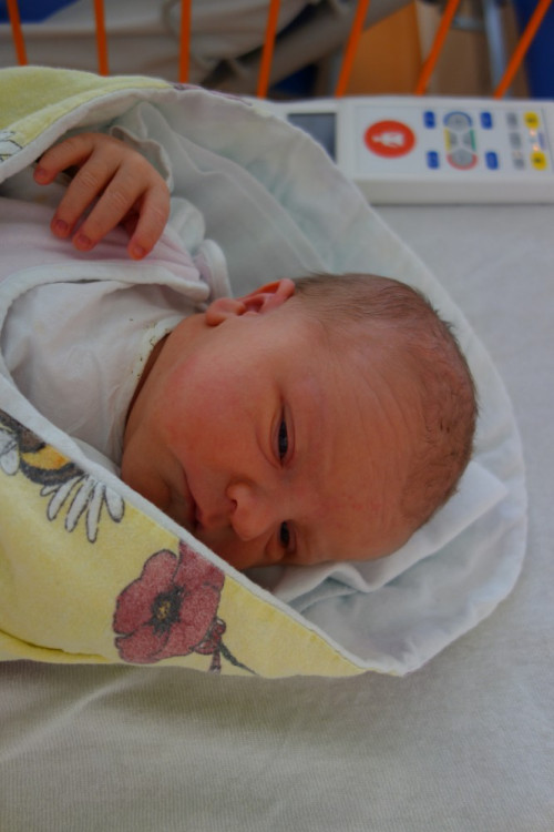 Zuzana Trojáková (Lahuť)