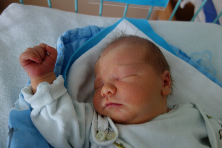 Matyáš Apfelthaler (Suchdol n. Lužnicí)