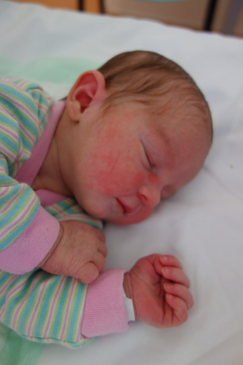 Eva Baierová (Brloh)