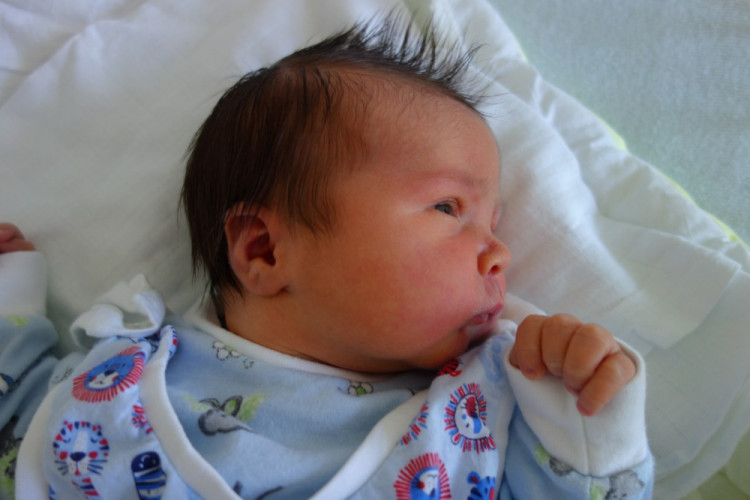 Antonín Čihovský (ČB)