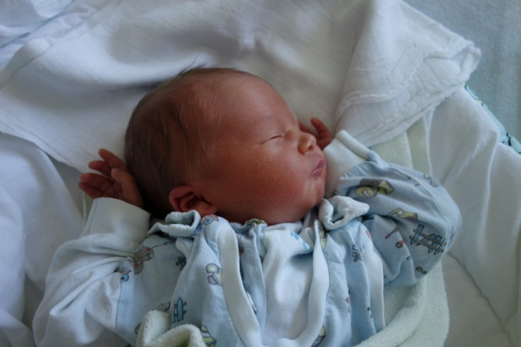 Adam Demeter (Horní Stropnice)