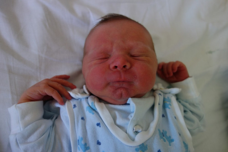 Vojtěch Svoboda (ČB)