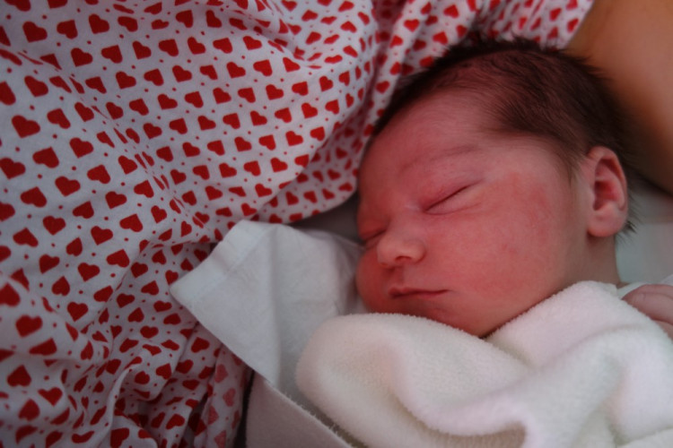 Vojtěch Vlk (Hluboká n. Vlt.)