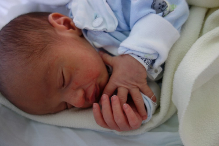 Mikuláš Vrabec (ČB)