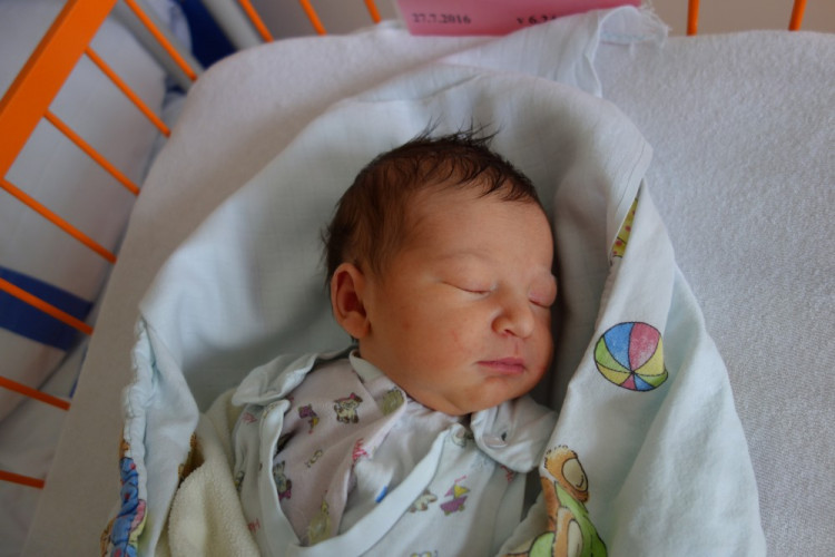 Sára Homanová (ČB)