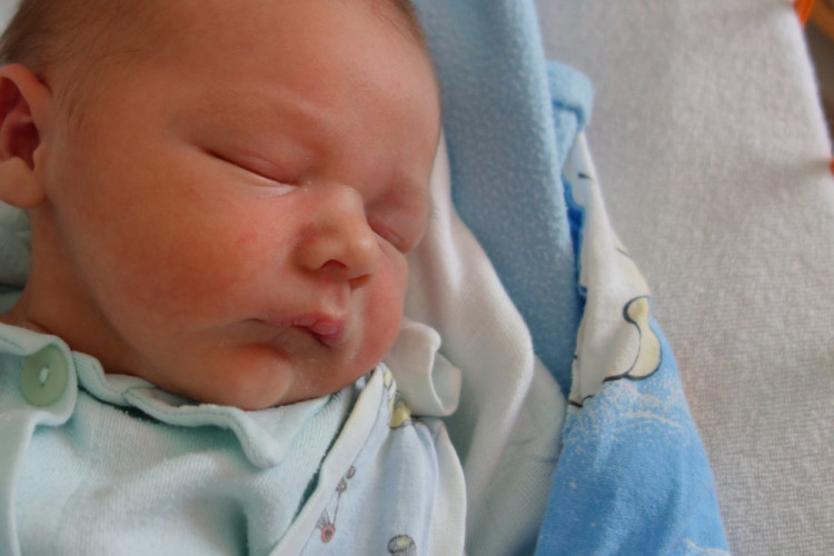 Jaroslav Horelica (Bukvice u Trhových Svinů)