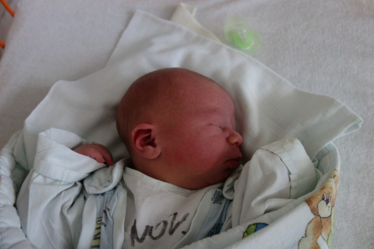 Martin Pešák (Borovany)