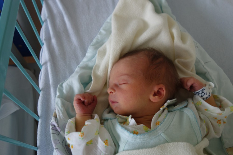 Sebastian Tachvatulín (ČB)