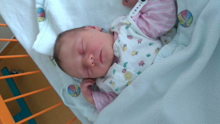 Lenička Ouředníková