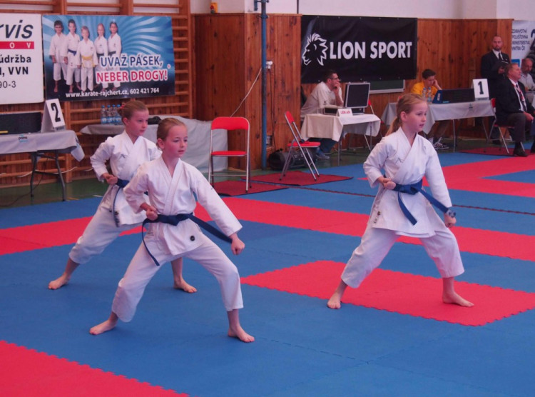 GRYF L'iberec pořádá nábor