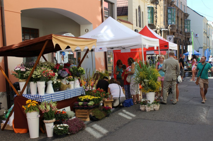 Město lidem, lidé městu