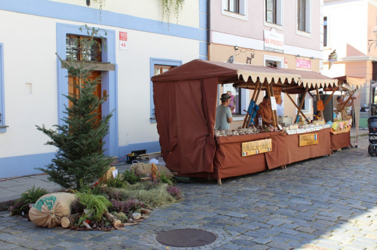 Město lidem, lidé městu