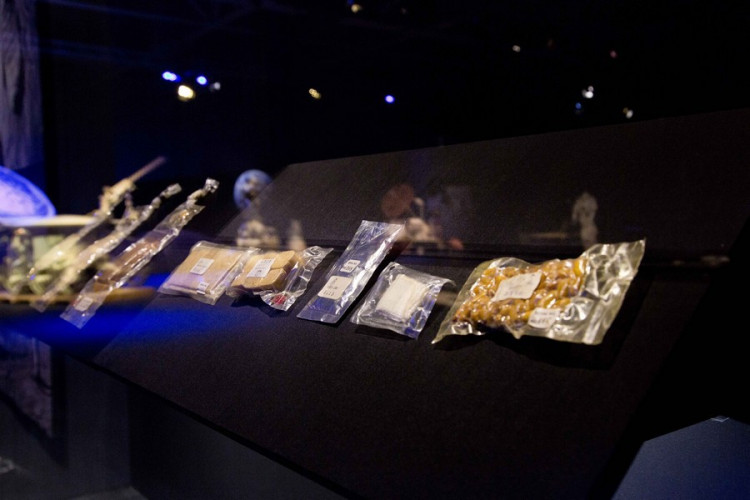 Výstava Cosmos Discovery