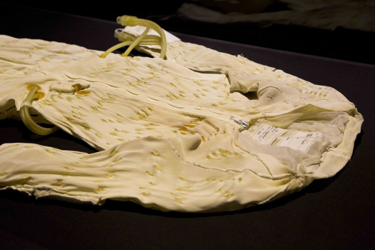 Výstava Cosmos Discovery