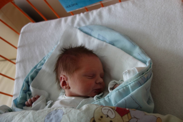 František Zahradník