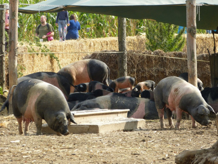 Biozemědělský den v Sasově