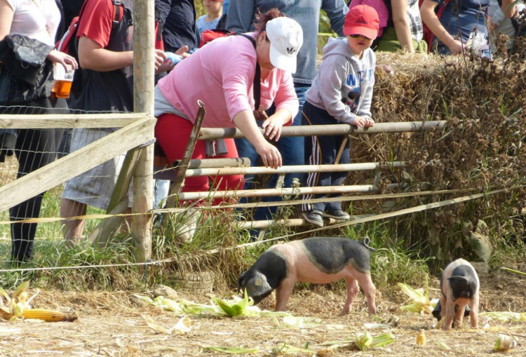 Biozemědělský den v Sasově