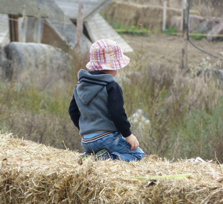 Biozemědělský den v Sasově