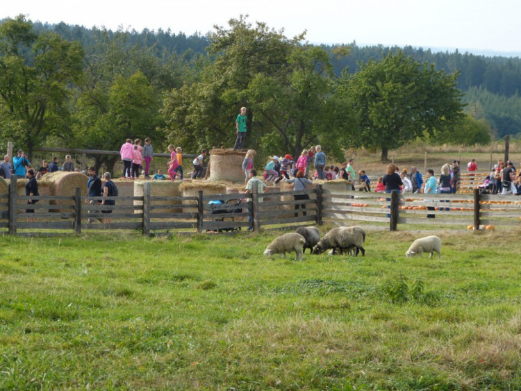 Dýňový svět 2016