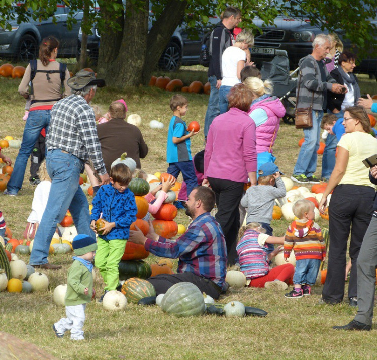 Dýňový svět 2016