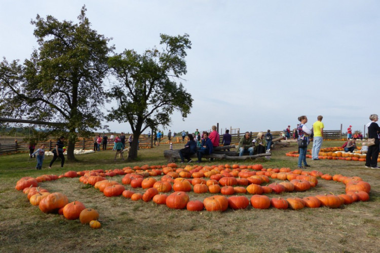 Dýňový svět 2016