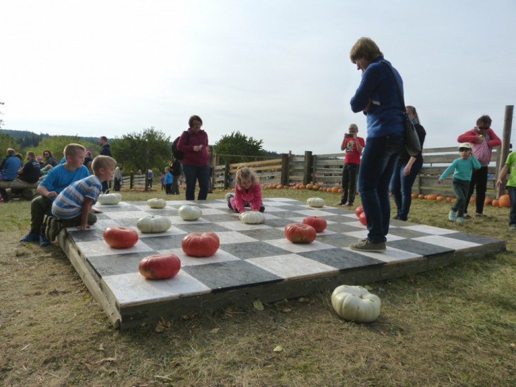 Dýňový svět 2016