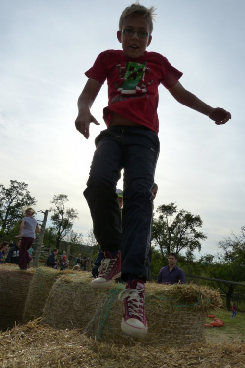 Dýňový svět 2016