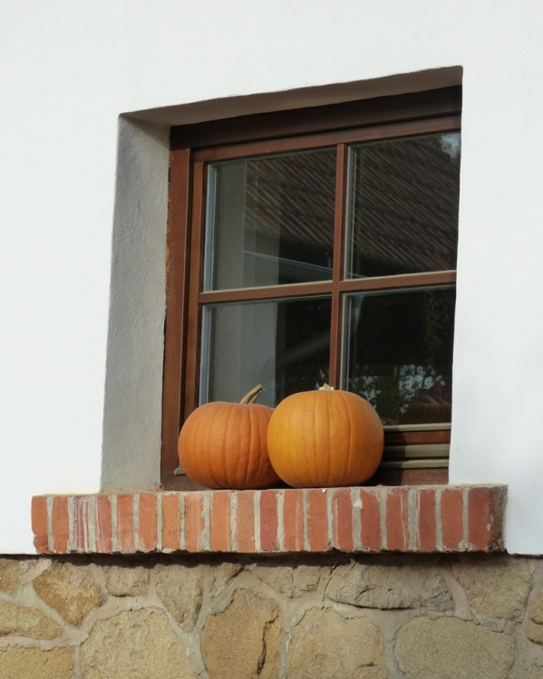 Dýňový svět 2016