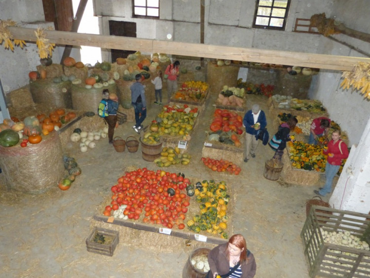 Dýňový svět 2016