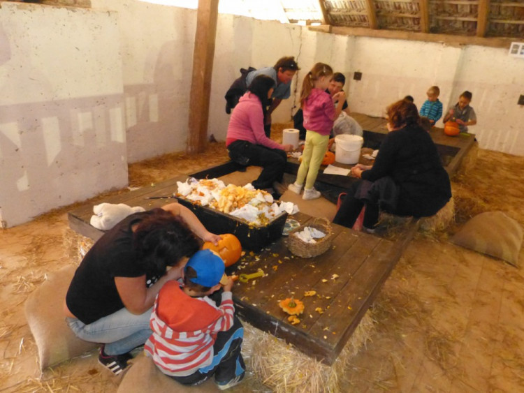 Dýňový svět 2016