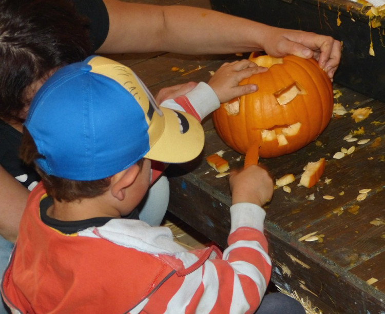 Dýňový svět 2016