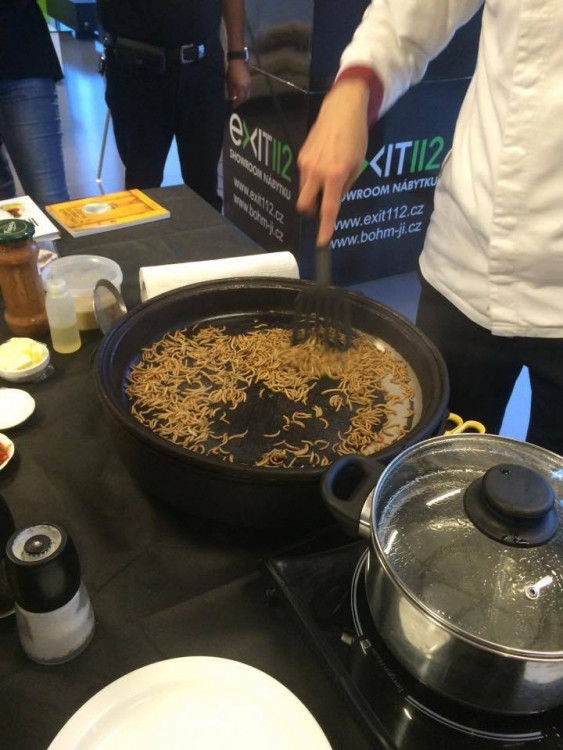 Ochutnávka hmyzích specialit