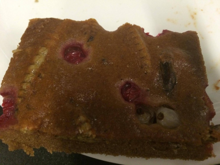 Ochutnávka hmyzích specialit