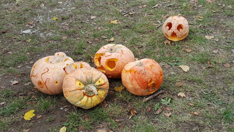 Dýňobraní v Zámecké stáji Plandry