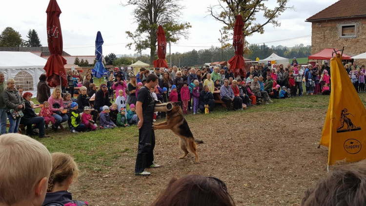 Dýňobraní v Zámecké stáji Plandry
