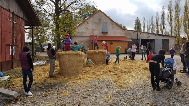 Dýňobraní v Zámecké stáji Plandry