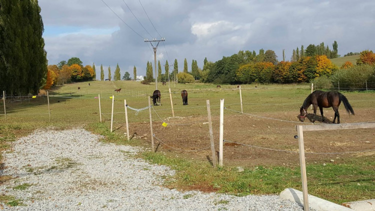 Dýňobraní v Zámecké stáji Plandry