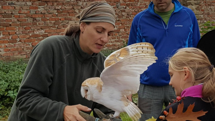 Dýňobraní v Zámecké stáji Plandry