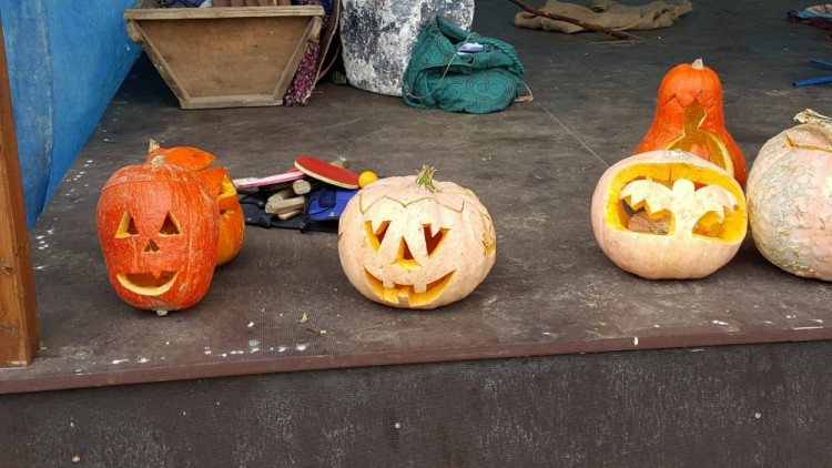 Dýňobraní v Zámecké stáji Plandry