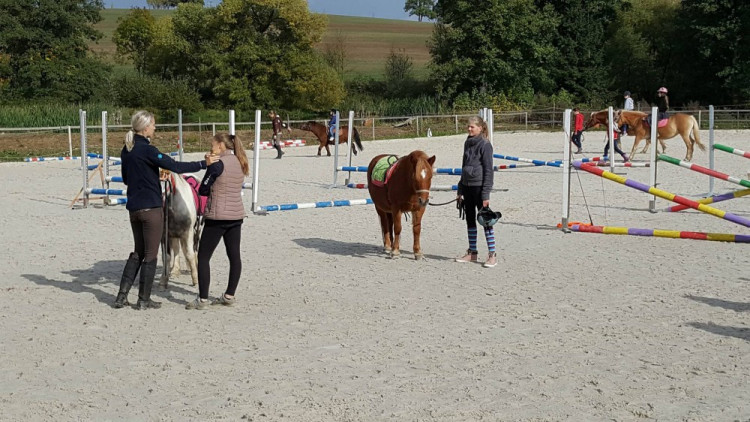 Dýňobraní v Zámecké stáji Plandry