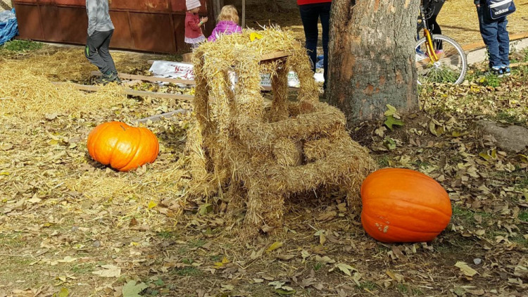 Dýňobraní v Zámecké stáji Plandry