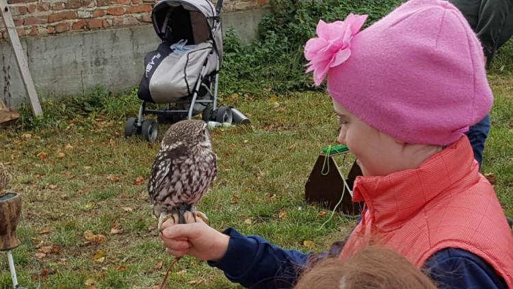 Dýňobraní v Zámecké stáji Plandry