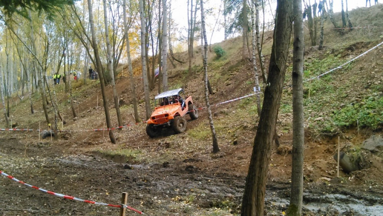 Pístovské mokřady 2016