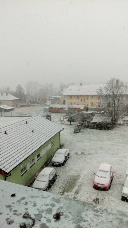 Černá v Pošumaví, autor Ájuška Holubová